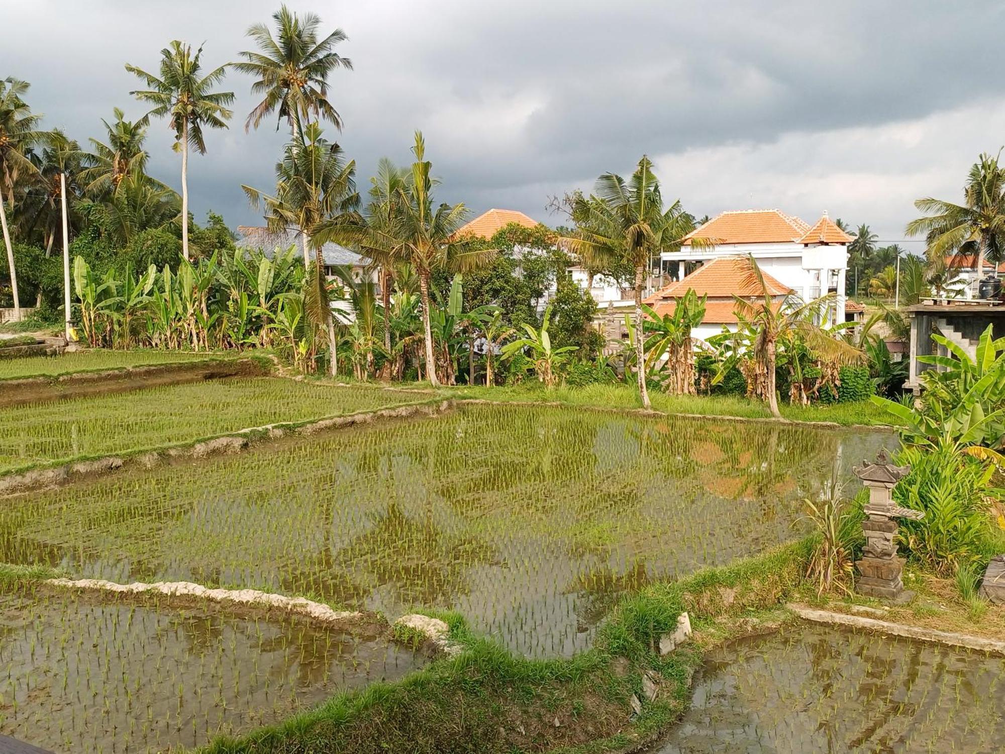 Villa Lanus Ubud  Exterior photo